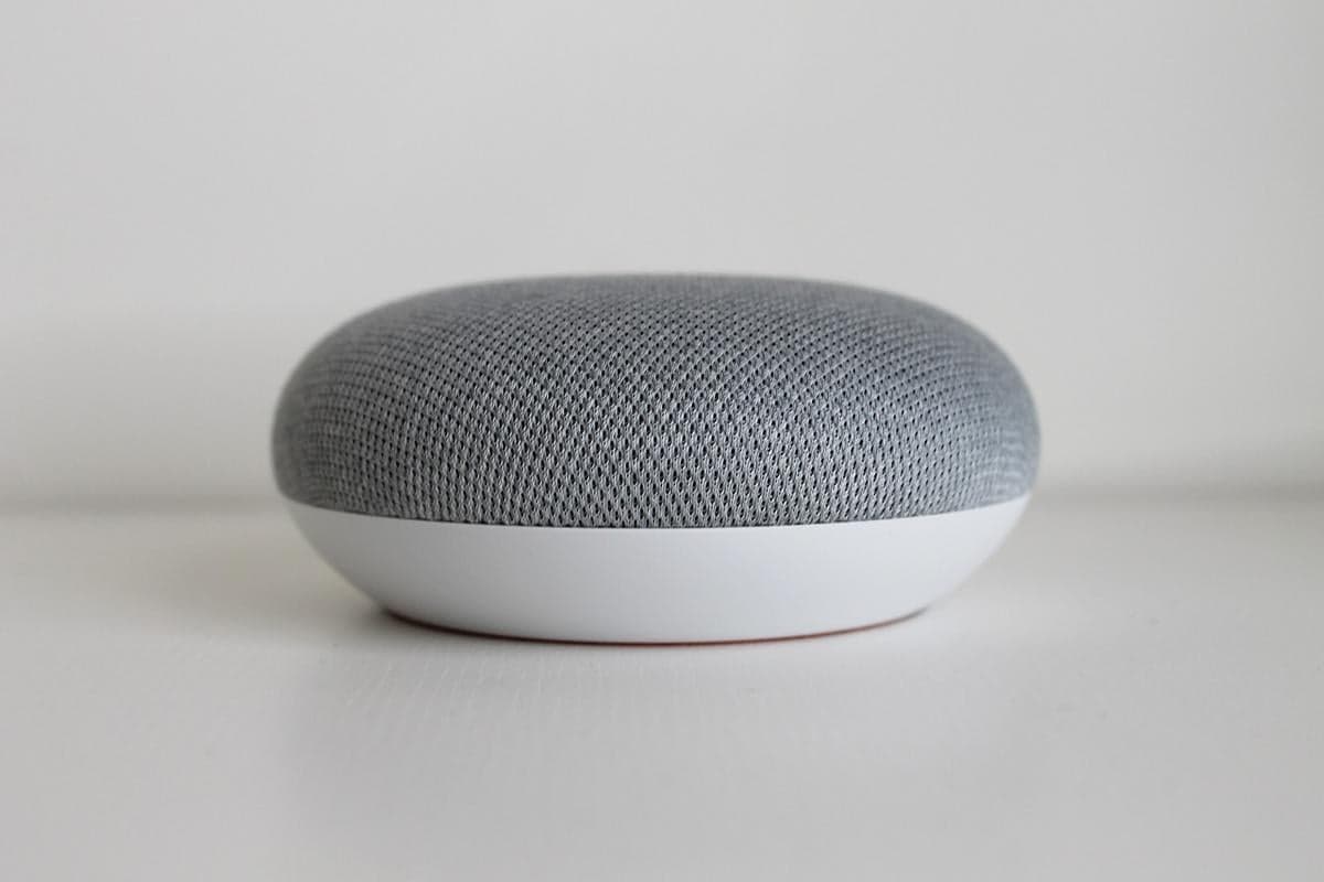 Google Home’s Gemini Calls My Dog a Cat but Nails Package and Visitor Alerts